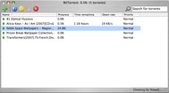 BitTorrent feature