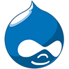 Drupal 10.2.2 for Windows Icon