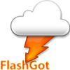 FlashGot icon
