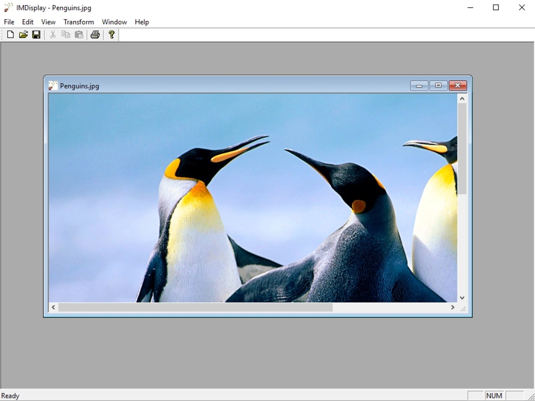 ImageMagick 7.1.1-27 for Windows Screenshot 1
